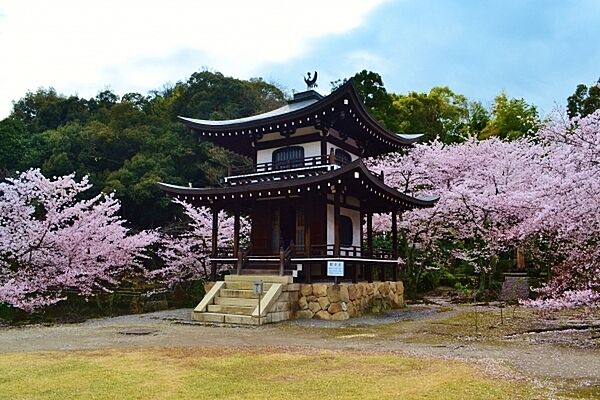 勧修寺まで2023m
