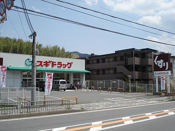 スギドラッグ醍醐店まで1067m