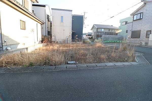 北側から撮影。