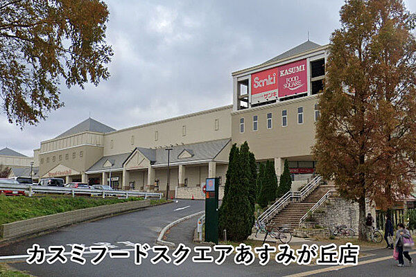 カスミフードスクエアあすみが丘店まで869m