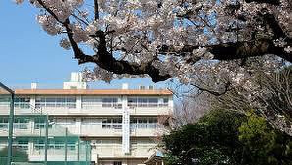 朝霞市立朝霞第四中学校まで620m