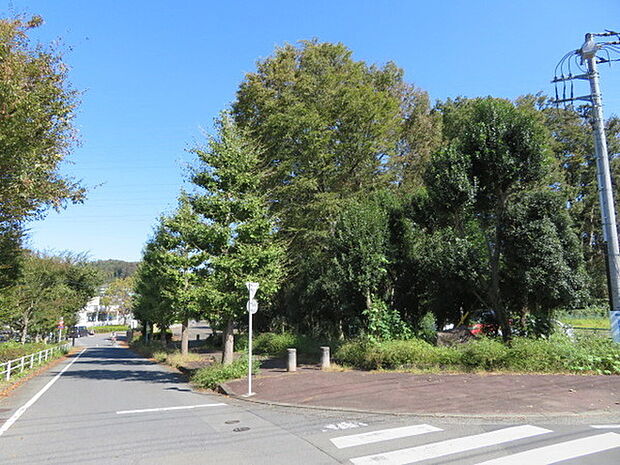 草花公園まで810m