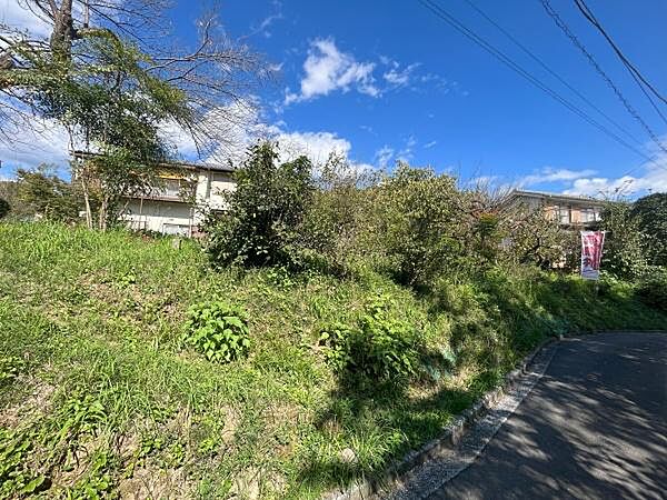 外観：313004603423