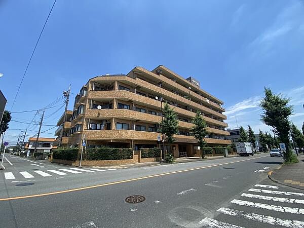 外観：313004597755