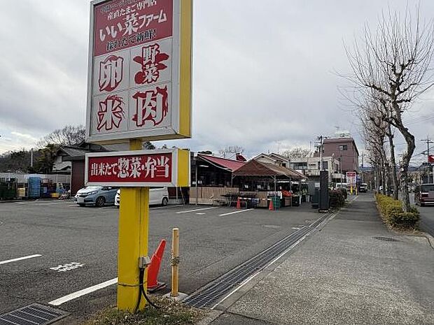 いい菜ファーム羽村羽西店まで648m