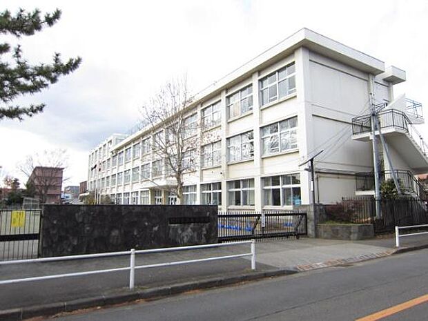 羽村市立栄小学校まで607m