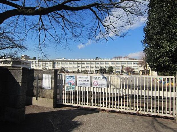 青梅市立第三小学校まで438m