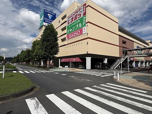 bloomingbloomyあきるのプレイス店まで955m