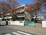 周辺：青梅市立若草小学校まで683m