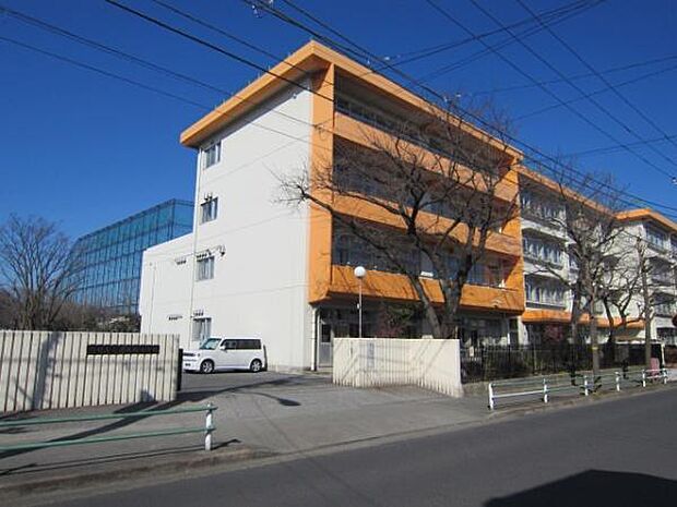 羽村市立武蔵野小学校まで608m