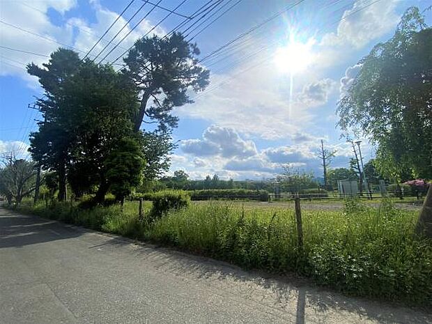 江戸街道公園まで338m