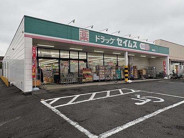 ドラッグセイムス師岡店まで795m