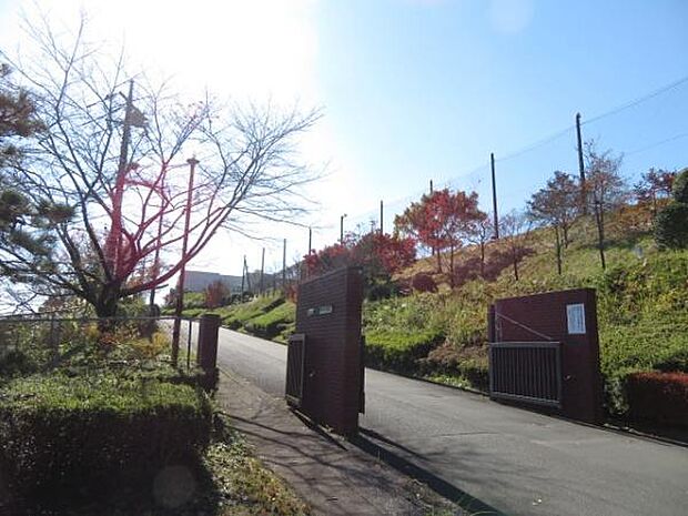 日の出町立平井中学校まで1390m