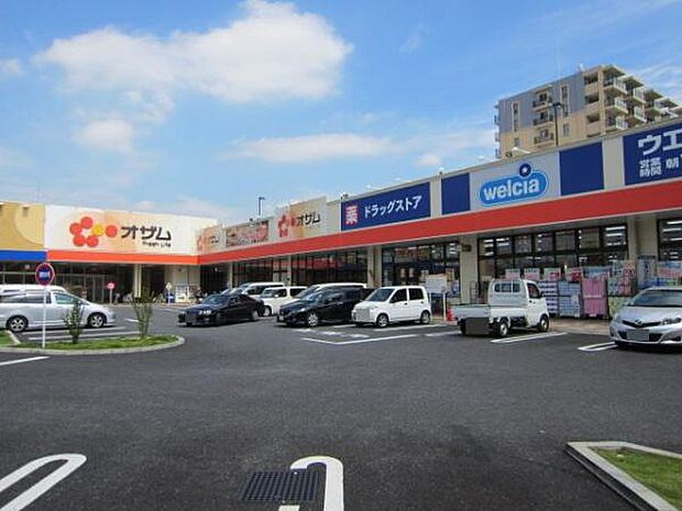ウエルシアラーレ青梅新町店まで1355m