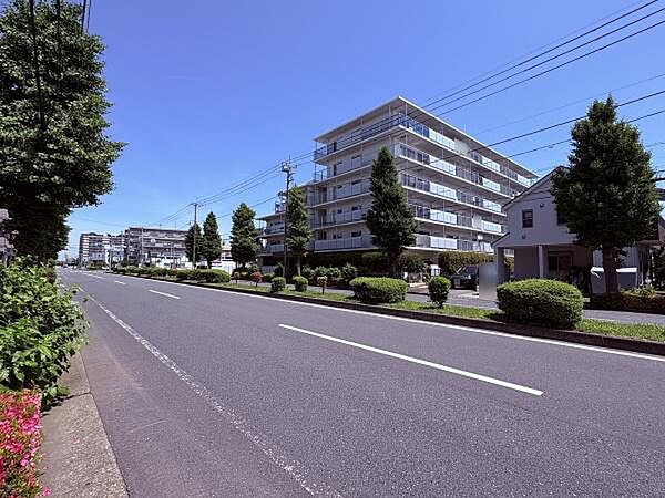 現地前面道路の様子です。