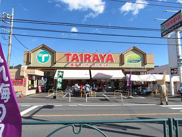 エコスTAIRAYA吉野店まで1351m