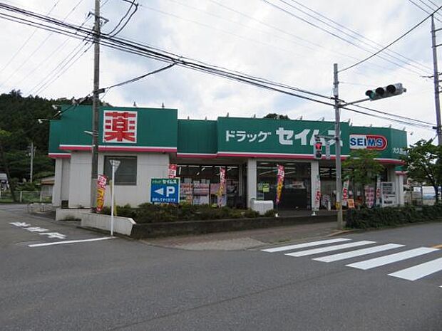 ドラッグセイムス大久野店まで1120m