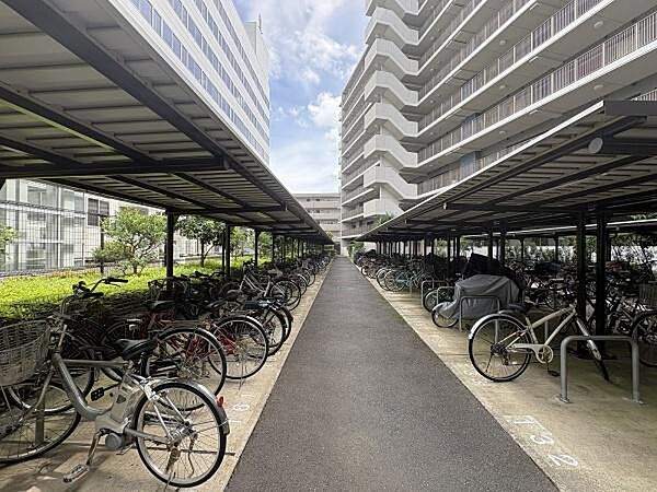 駐輪場の様子です。