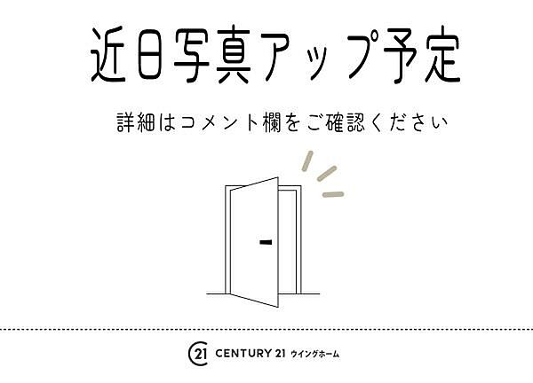 外観：313004868533