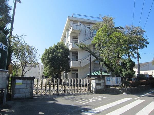 羽村市立羽村東小学校まで771m