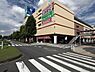 周辺：bloomingbloomyあきるのプレイス店まで890m