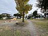 周辺：仲田公園まで202m