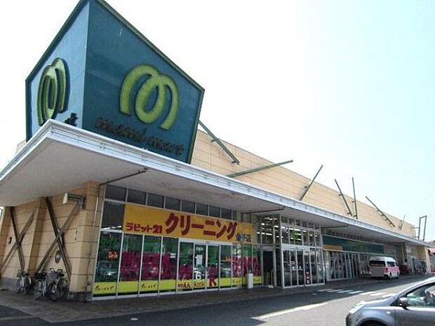 マミーマート金子店まで1204m