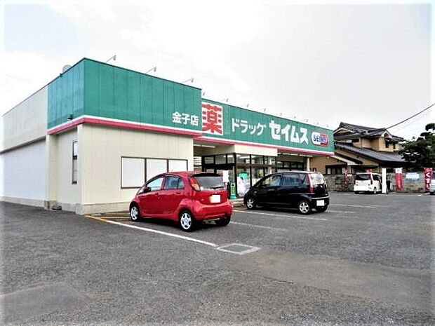 ドラッグセイムス金子店まで1526m