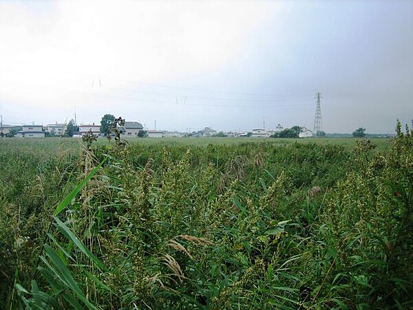 外観：301000097248