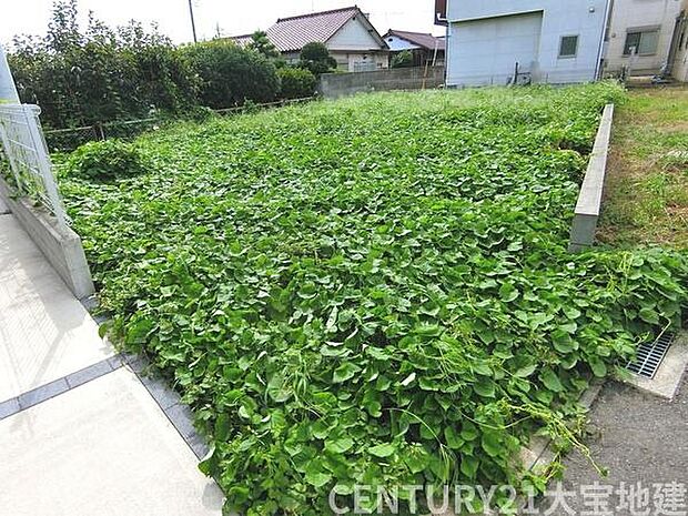 敷地面積約51.3坪です