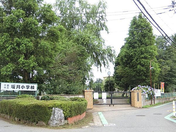 千葉市立坂月小学校まで1600m