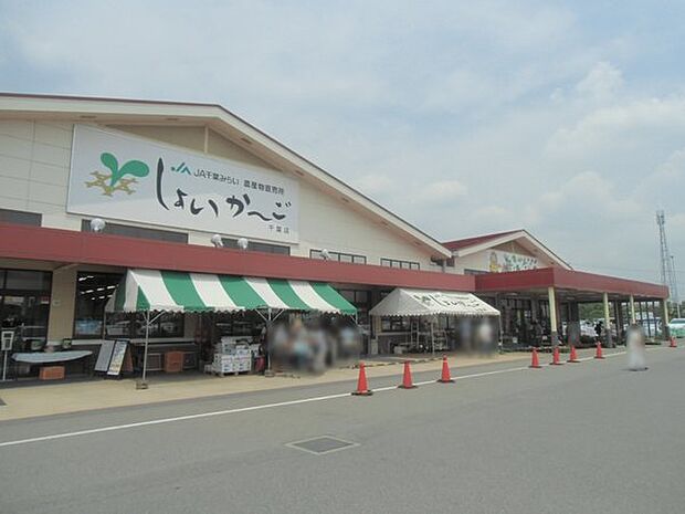 しょいかーご千葉店まで1116m