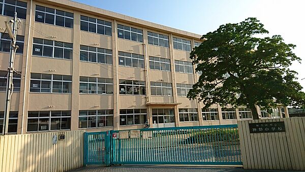 加古川市立神野小学校まで1250m