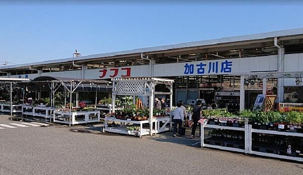ホームプラザナフコ加古川店まで528m