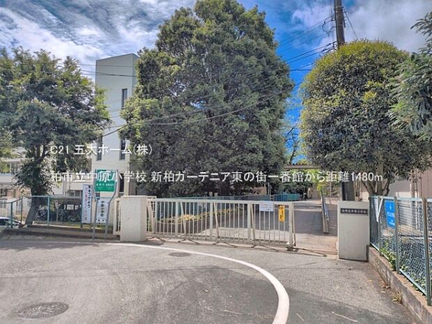 柏市立中原小学校まで1600m、撮影日:2026/05/28　1480　柏市立中原小学校