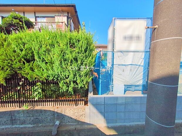 撮影日:2025/09/17