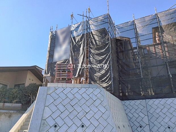 撮影日:2026/01/29