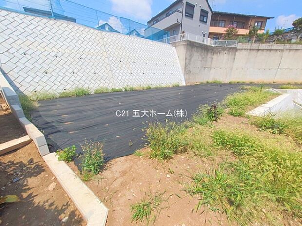 撮影日:2025/08/26