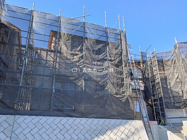 撮影日:2026/01/29