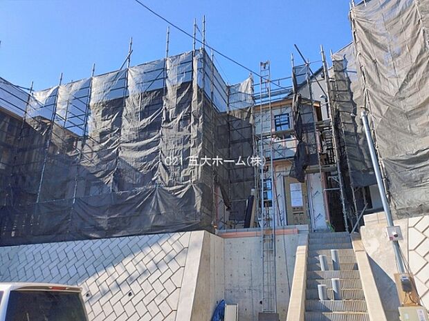 撮影日:2026/01/29