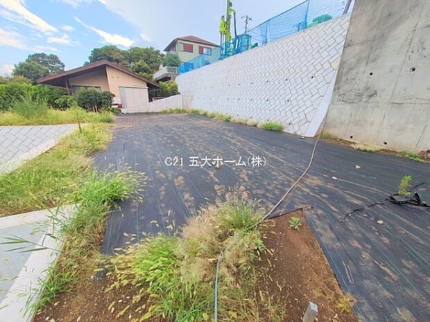 撮影日:2025/09/11