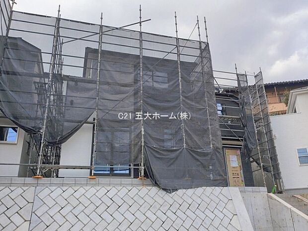 撮影日:2026/02/18