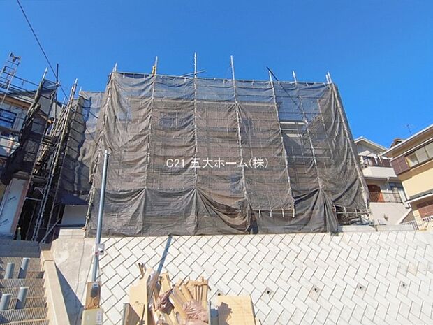 撮影日:2026/01/29