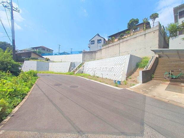 撮影日:2025/08/26