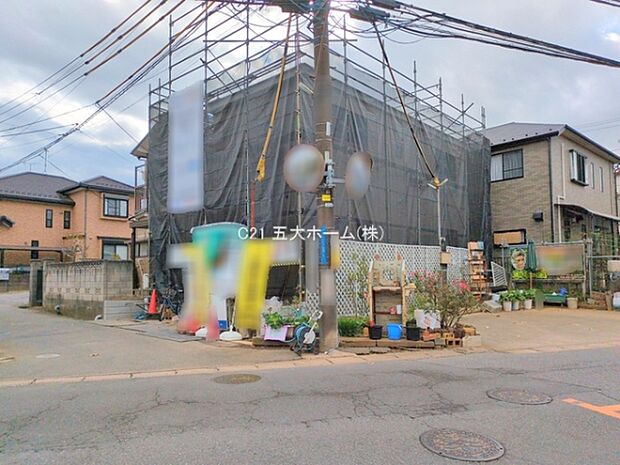 撮影日:2025/11/18