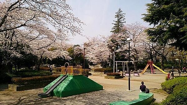 柏公園まで537m