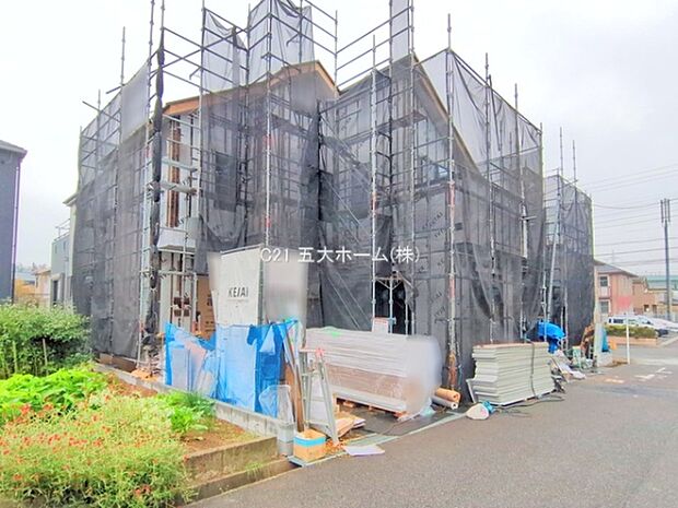 撮影日:2025/10/15