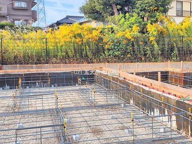 撮影日:2025/10/29