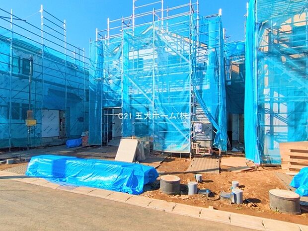 撮影日:2025/11/26