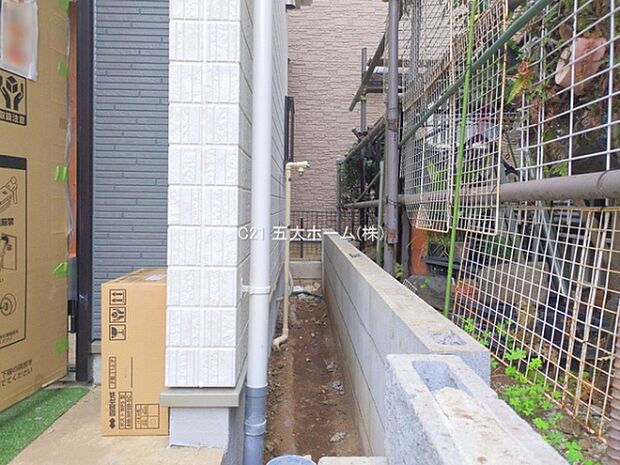 撮影日:2025/11/25